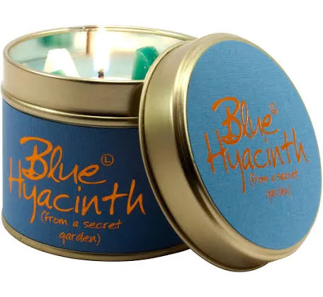 Blue hyacinth