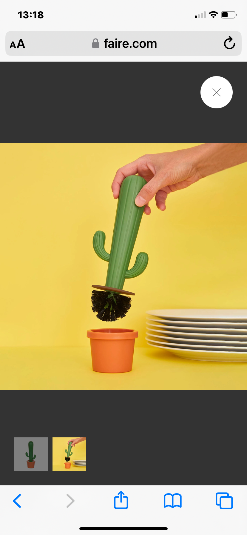 Cactus dishwashing brush