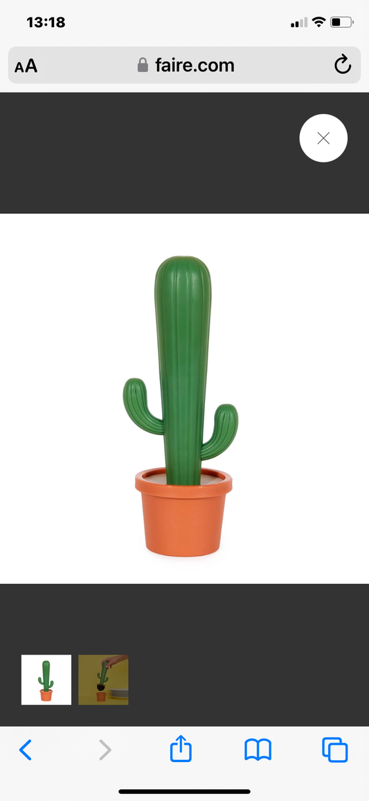 Cactus dishwashing brush