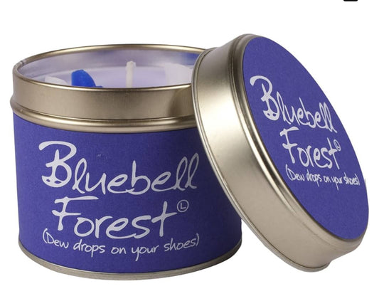 Bluebell forest